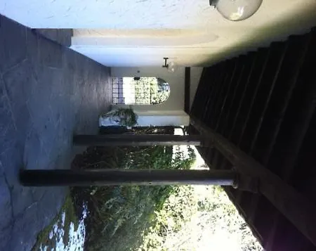 Via Saleggi 10 Apartment Ascona