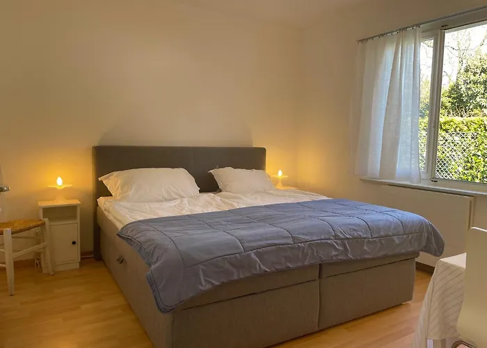 Via Saleggi 10 Apartment Ascona